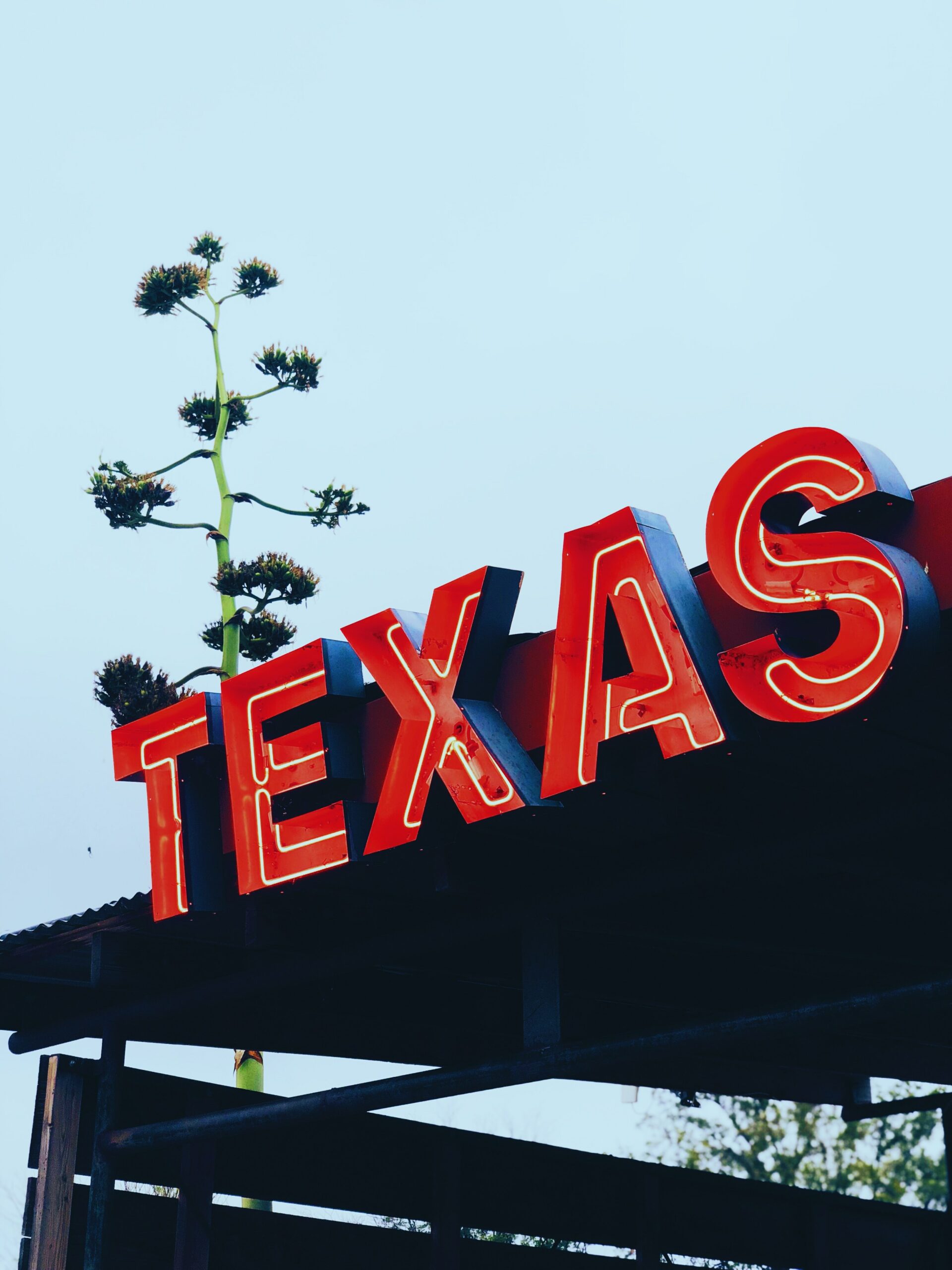 Texas Sign